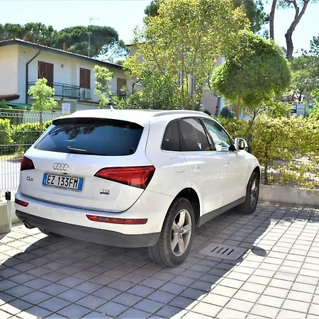 Todaro Μπιμπιόνε