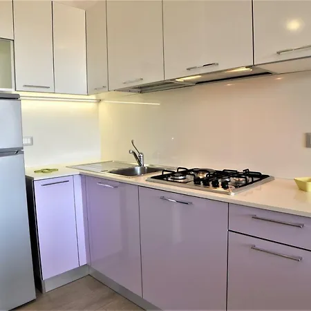 Todaro * 비비오네