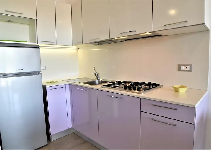 Todaro * ビビオーネ